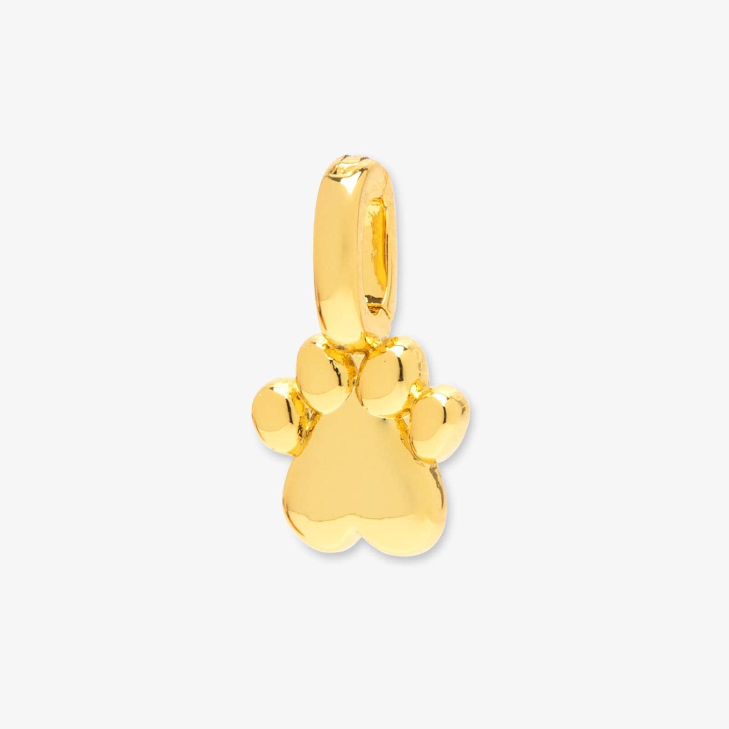 Stainless Charms